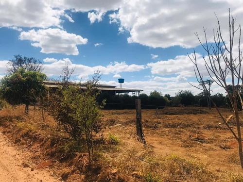 Imagem 2 de 6 de Vende - Se Lote De 2500 Mt No Daia Proximo A Geolab