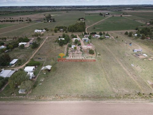 Imagen 8 de 17 de Casa Quinta A 4 Km Del Centro De Canelones, 5000 M2 De Terreno Ah-62784