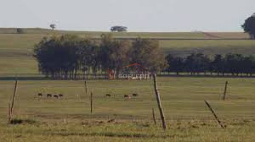 Imagen 1 de 2 de Campo En Uruguay, Rocha
