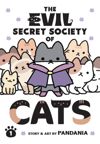 Libro: La Malvada Sociedad Secreta De Los Gatos, Vol. 1