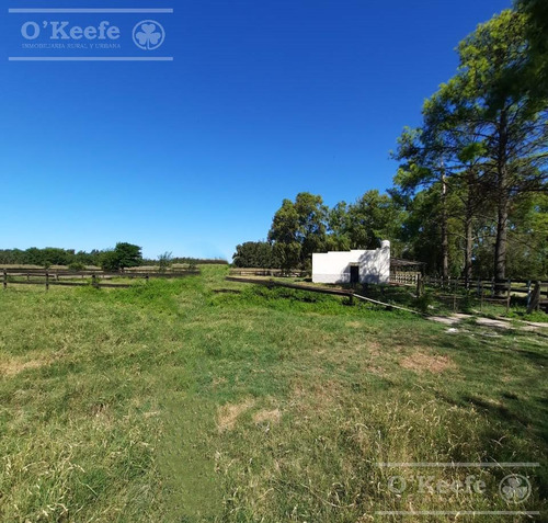 Chacra En Venta De 3,5 Has En Arturo Segui !!!