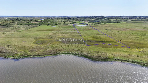 Chacra En Venta De 5 Has Con Costa De Laguna - Jose Ignacio