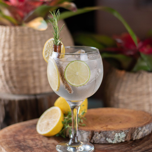 Drink Pronto Gin+ginger Easy Booze 200ml (6 Garrafas) Kit
