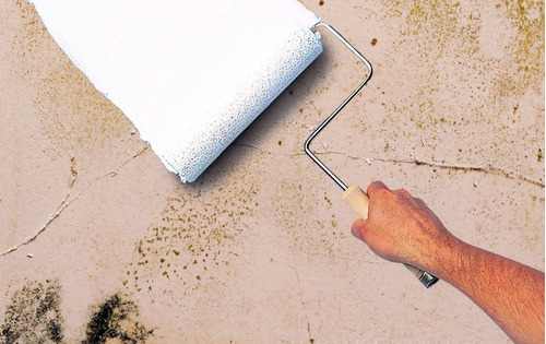 Imagen 3 de 7 de Primario Fondo Anti Hongo Zinsser Base Agua Blanco 3.78lt