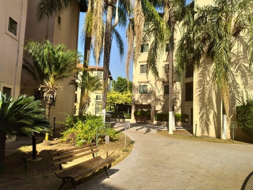 Imagem 3 de 11 de Apartamento, Vila Amélia, Ribeirão Preto - 81-v