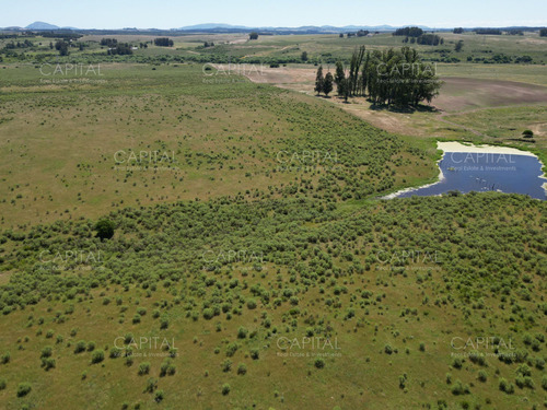 Espectacular Campo De 124 Has . Laguna Del Sauce