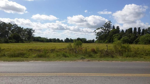 Imagen 3 de 6 de En Venta!! Campo Ideal Para Loteo!