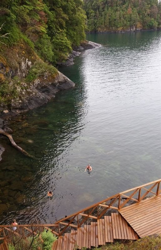 Imagen 23 de 30 de Sitio En Venta En Puyehue