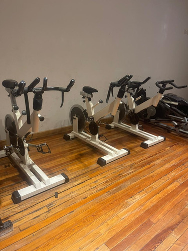 Lote Gimnasio Gym Cardio (Usado)