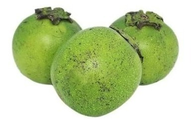 Arbolito De Zapote Negro