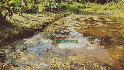 Imagem 11 de 15 de Chácara Com 1 Dormitório À Venda, 1200 M² Por R$ 110.000,00 - Pouso Alto - Natividade Da Serra/sp - Ch0694