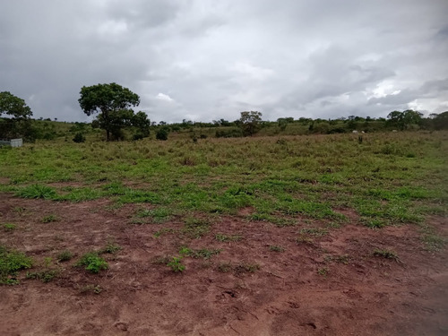 Imagem 4 de 19 de Fazenda Em Paranatinga - Mt - 820hectares- 10milhões