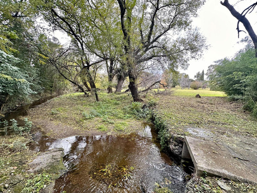 Campo En Falda Del Carmen