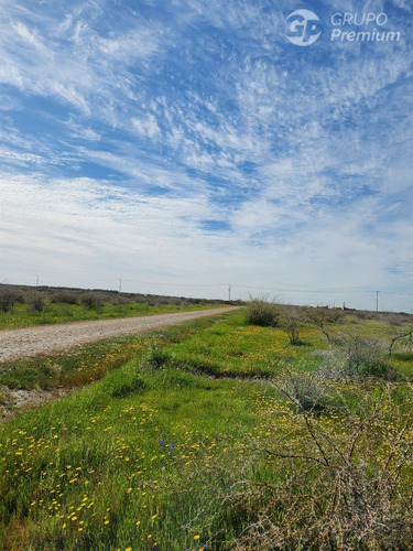 Sitio En Venta En Cauquenes