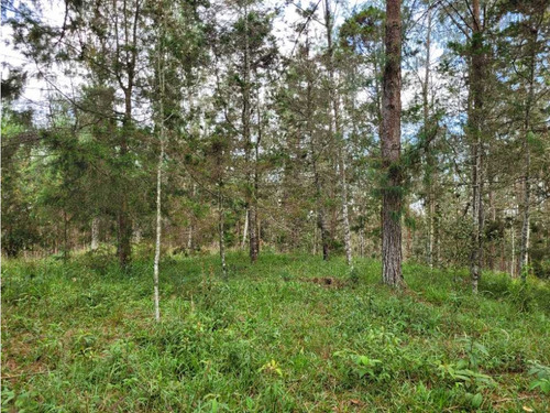 Venta De Lote En El Retiro Vereda Lejos Del Nido Se Puede Dividir