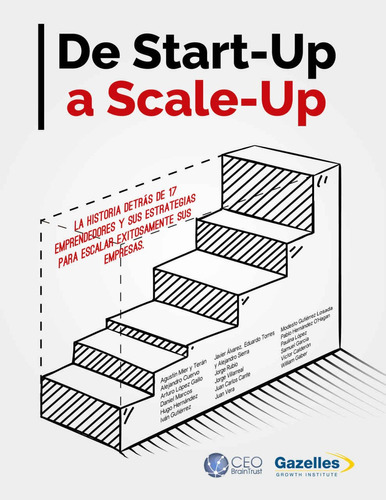 De Start Up A Scale Up - Libro Dig