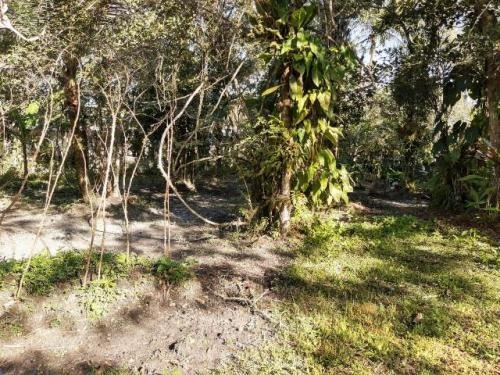 Imagem 6 de 14 de Ótima Chácara Medindo 2400 Mts Em Itanhaém Litoral Sul De Sp
