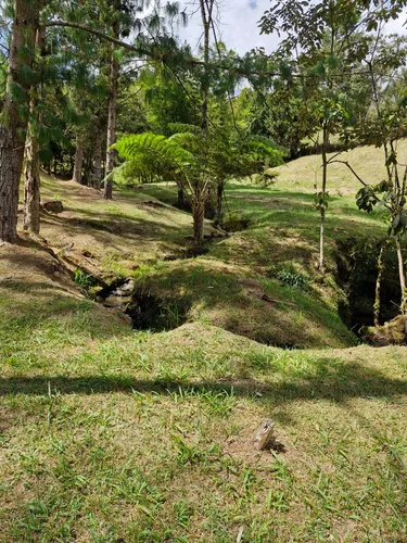 Lote En Venta Con Bosque Y Dos Explanaciones