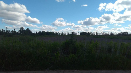 Venta Lote En Virrey Del Pino 3400 M²
