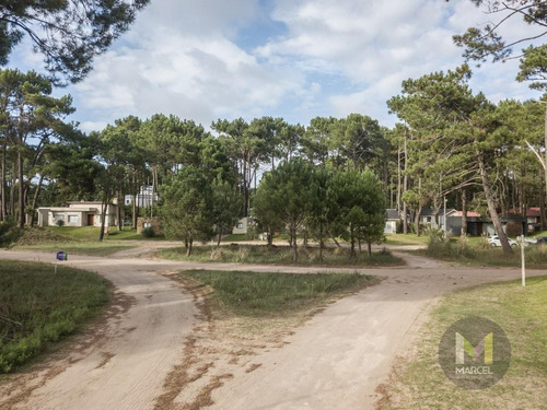 Imagen 2 de 10 de Lote En Venta - Zona Alamos Ii - Pinamar