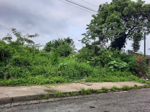 Imagem 4 de 6 de Terreno Com Escritura Em Mongaguá - 705