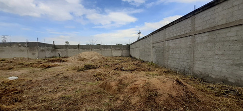 Imagen 11 de 12 de Terreno En Guasimal, Maracay, Oportunidad De Inversión.
