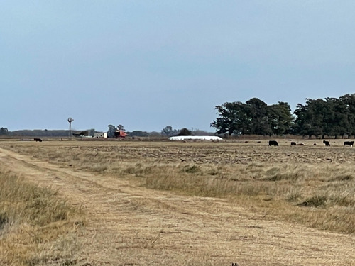 Imagen 9 de 11 de 66 Hectareas En Venta Sobre Ruta 29