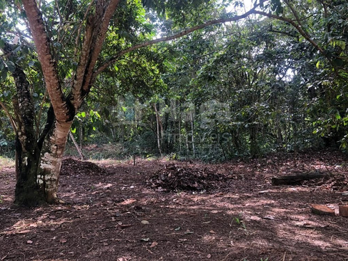 Imagem 4 de 16 de Terreno Rural Para Chácara À Venda Em Itajaí/sc - 1670c