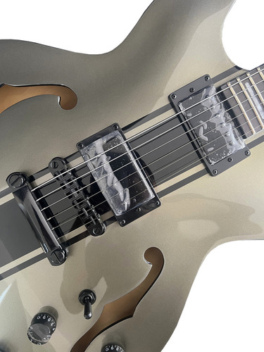 Guitarra Semi-acústica Waldman Hollow Body Gho220s Gp Cor Cinza Material do diapasão Pau-rosa Orientação da mão Destro