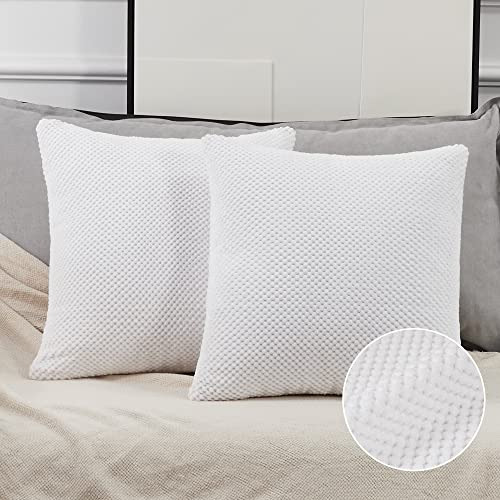 Fundas De Almohada Lisas, 22x22 Pulgadas, Blanco Brilla...