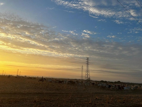 Venta Finca Productora De Cereales Y Ganado