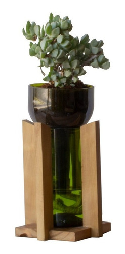 Suculenta Little Plant 24 Con Soporte, Maceta Autorregante