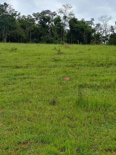 Imagem 23 de 27 de 03o-lote/otima Vista E Area Verde