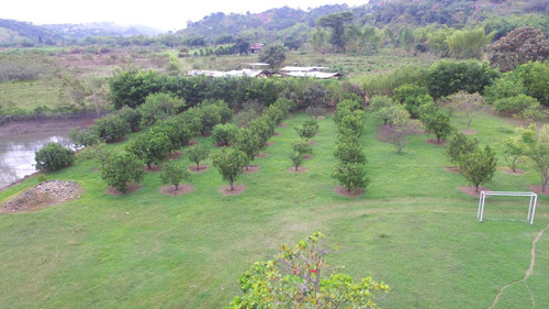 Casa Lote - Vereda Quinamayo - Santander Quilichao (cauca)
