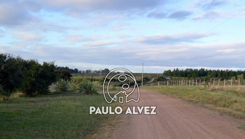 Imagen 2 de 10 de Chacras-venta-cerro-pan-de-azucar-ch025