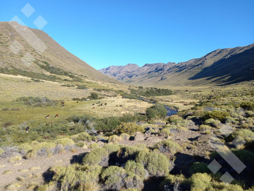 Venta De Estancia En Ruta Provincial 21, Kilómetro 31, Departamento Picunches, Paraje Huarenchenque