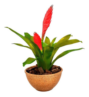 Madeira Para Plantar Bromelias | MercadoLivre 📦