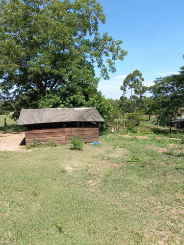 Imagem 8 de 14 de Sitio - St00117 - 71041109