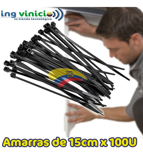 Amarras Plasticas Dexxon 15cm Dxn3006n Negras Zunchos 100u