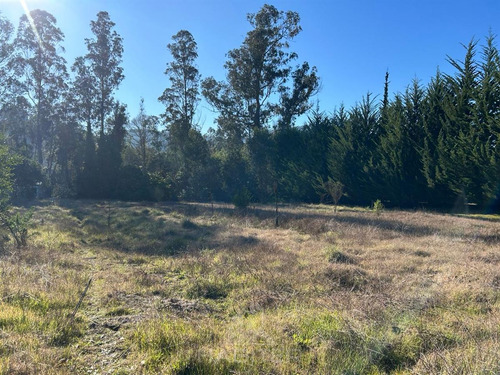 Arriendo Sitio Urbano Comercial 5.000 M2 Sector Patagual