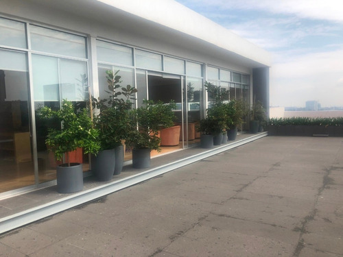 Imagen 14 de 14 de Oficinas Amuebladas En Venta San Jeronimo Lidice