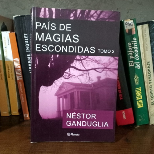 Pais De Magias Escondidas Tomo 2  Nestor Ganduglia