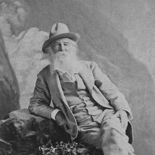 Dias exemplares – Coleção Acervo, de Whitman, Walt. Coleção Acervo (22), vol. 22. Editorial Carambaia, capa mole em português, 2022