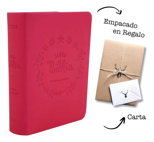 Biblia Nvi Letra Grande Tamaño Bolsillo Fucsia