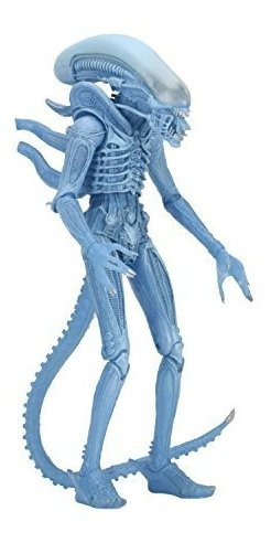 Aliens 7 Scale  S 11 Blue Warrior Figura De Acción
