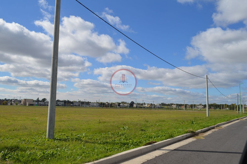 Imagen 8 de 30 de Terreno Lote En Venta Ubicado En Manuel B Gonnet, La Plata