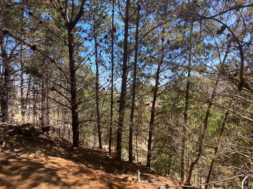 Terreno En Venta En La Vega De Pupuya Con Vista Al Mar