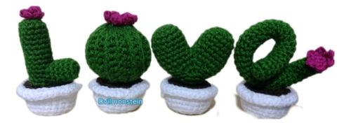 Cactus Crochet Regalo Flor Eterna