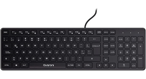 Teclado Estándar Quaroni Taq01 Usb Alámbrico Español