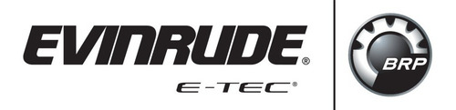 Imagen 4 de 7 de Motor Evinrude 6 Hp 4 Tiempos Pata Larga Okm